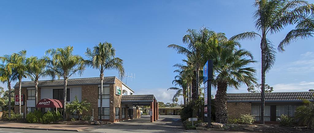 Citrus Valley Motel Renmark Bagian luar foto