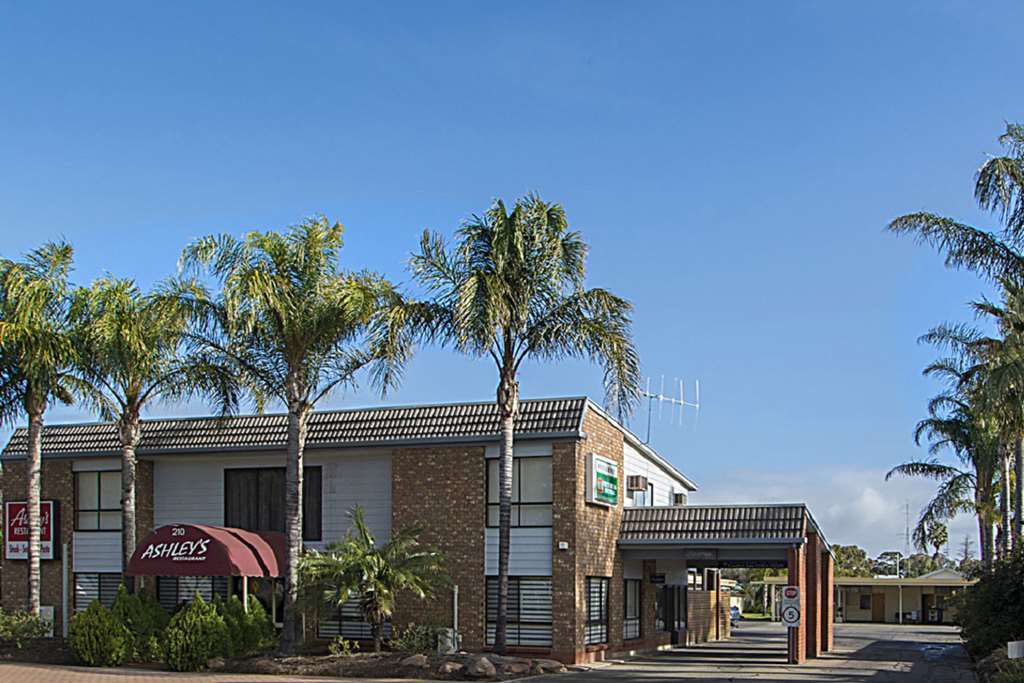 Citrus Valley Motel Renmark Bagian luar foto