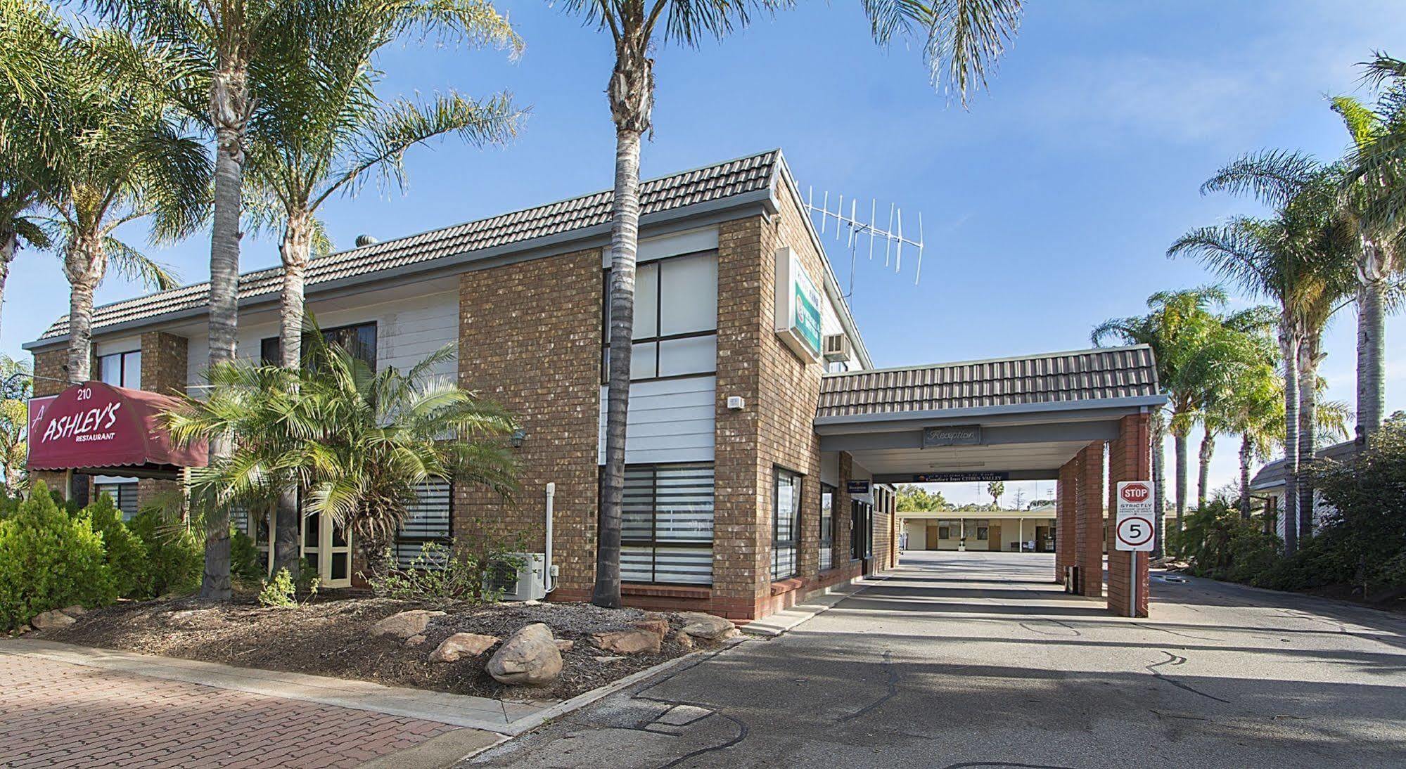 Citrus Valley Motel Renmark Bagian luar foto
