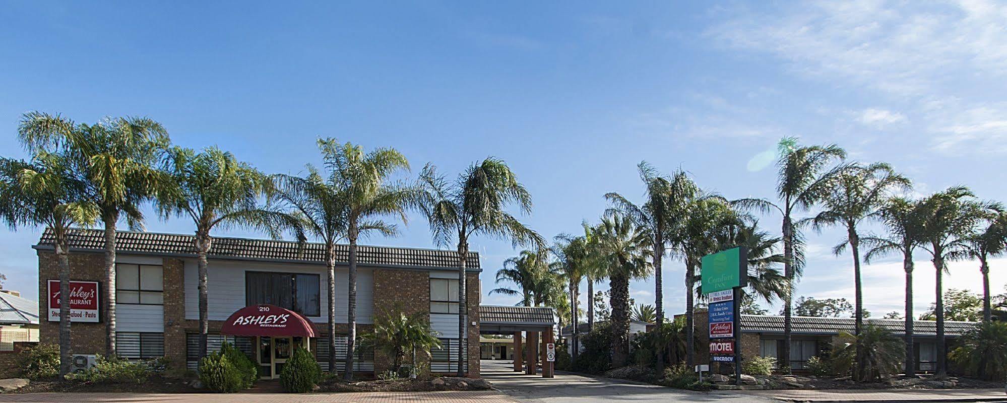 Citrus Valley Motel Renmark Bagian luar foto